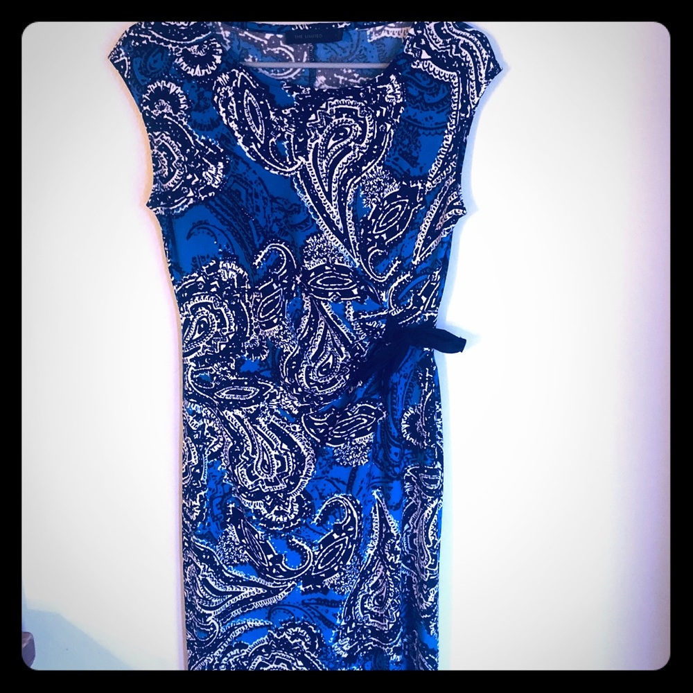 Sale⭐️The Limited Paisley Print Dress